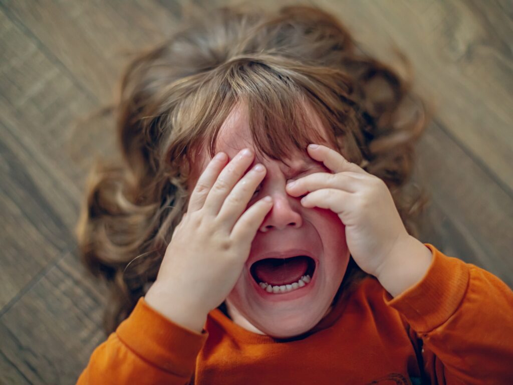 Quality Interactive Anthem Montessori 3720 W Shadow Glen Way, Anthem, AZ 85086, United States 602 370 8006 preschooler