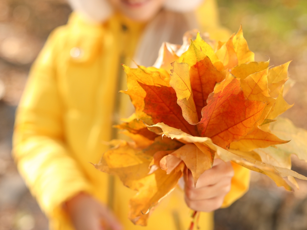 Small Miracles Education 520 416 5888 3430 E Sunrise Dr., Suite 190, Tucson, Arizona 85718 preschool activities