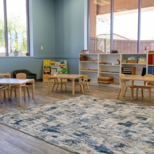 Quality Interactive Montessori – Preschool Anthem AZ