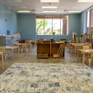 9 Quality Interactive Montessori – Preschool Anthem AZ
